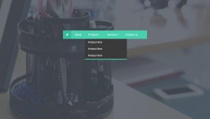 Top 20+ CSS Dropdown Menu