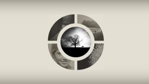 Top 16+ CSS Circular Menu