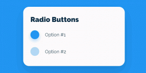 Switching Radio Button Interaction Animation