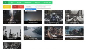TOP 15 jQuery Filter And Sort Plugins