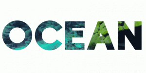 SVG Text Mask With Video Background