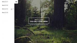 TOP 10 CSS Sliding Menus