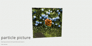 Image Particle Animation Effect