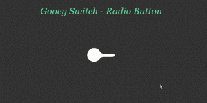 Smooth Gooey Radio Slider Button