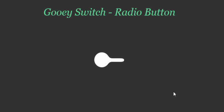 Smooth Gooey Radio Slider Button