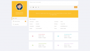 Top 15 Bootstrap Profiles